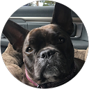 Melea M profile picture